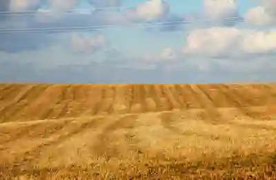 냄새 걱정 없는 SK 매직 음식물처리기, 디자인도 예쁜 에코클린 후기