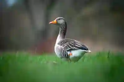 U+콕 내가 원하는 상품을 추천해 주네!? 특가 구매까지!
