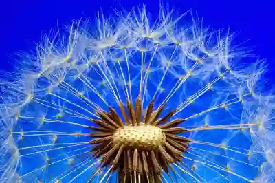 데스크톱 & 노트북 SSD 추가한다면 씨게이트 아이언울프 525 2TB 어때?