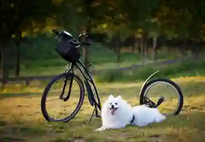 컴퓨터 바이러스 검사 이렇게 따라 해보세요! 백신 프로그램 사용법