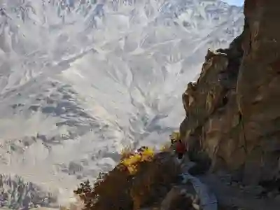 LG U+의 새로운 도전! WHY NOT? 무너 NFT 나온다고?