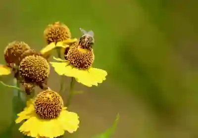 커스텀 & 기계식 키보드 윤활 준비물과 하는 방법