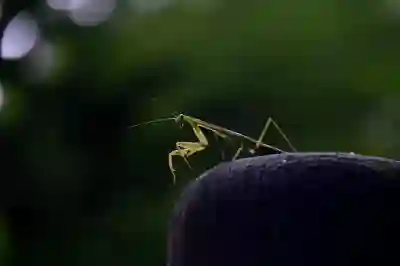 아이폰 초기화 방법! 팔 때 로그아웃 필수!