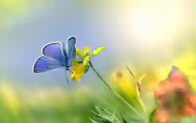 옥타디오 인코플렉 블루투스 이어폰으로 가성비와 노이즈 캔슬링의 매력 알아보자