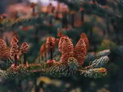 가성비 최고의 샤오미 공기청정기 4 프로 살펴보기