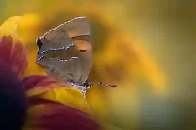 갤럭시노트 20 울트라 속도강화 효과 알아보자