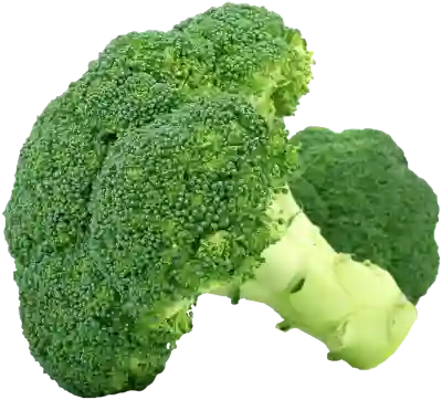 딥센 H5 가열식 가습기 완판의 비밀 알아보자