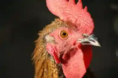 무료 VPN의 위험성을 알아보고 노드VPN을 선택해야 하는 이유