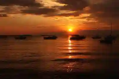 샤오미 로봇청소기 로이드미 EVE PLUS 완벽 활용법 알아보자