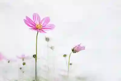 스포티파이 가격과 무료 사용 방법 알아보자