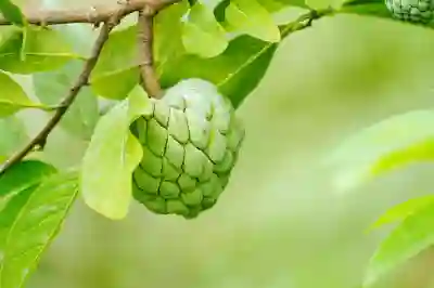 아이패드 에어 5세대 M1 탑재로 변화하는 사용 경험 알아보자