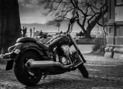 차량 공간을 넓게 활용하는 폴라프레쉬 뉴 선바이저 추천