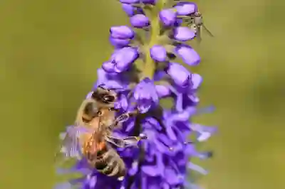 윈도우10 화상키보드로 키보드 문제 해결하는 꿀팁