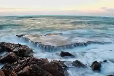 네이버 플러스 멤버십으로 티빙과 콘텐츠 혜택 알아보자