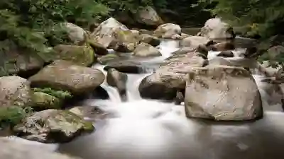 보스 L1 PRO 시리즈로 완벽한 버스킹 공연을 위한 팁 알아보자