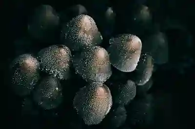 클립보드 활용법 알아보자