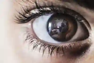 탐나는전 환불 절차 완벽 정리와 꿀팁 알아보기