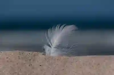 필립스 55인치 TV 스마트 기능과 4K HDR의 매력 알아보자