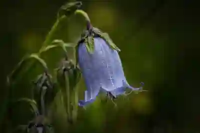 리브스메드 공모주 청약 완벽 분석과 상장일 살펴보기