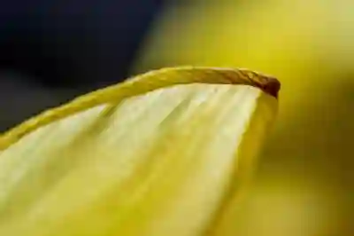 청년저축계좌 신청기간 놓치지 않는 방법 알아보자