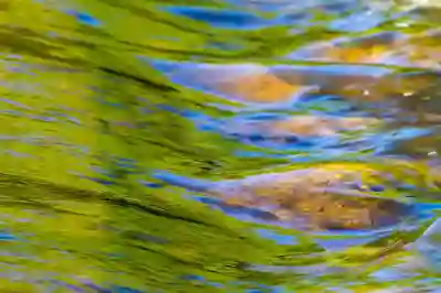 캠시스 주가전망과 목표주가 분석하는 방법 살펴보자