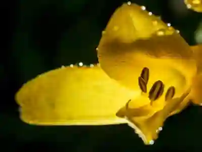 협심증 진단코드 I20에 대한 이해를 돕는 5가지 방법