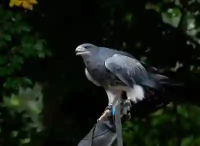 김천 삼성전자 서비스센터 이용 꿀팁 알아보자