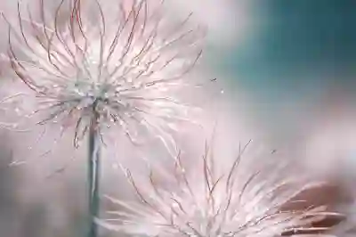 안심전환대출 서류준비 체크리스트 알아보자