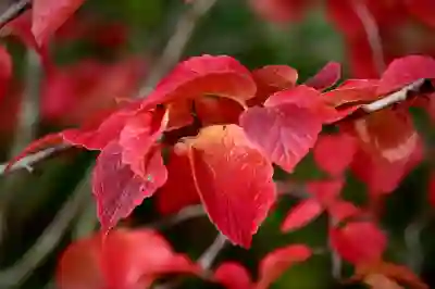 울산 신한은행 지점 알아보는 꿀팁