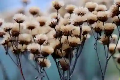 전역증 영문발급 절차 및 해외제출 팁 알아보자