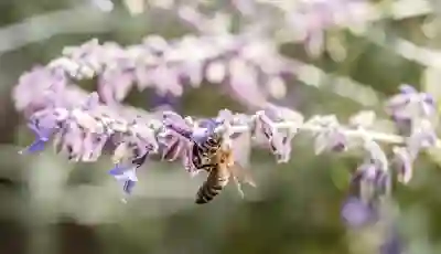 컴퓨터 화면 비율 조정하는 4가지 방법 알아보자