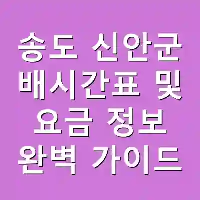 송도 신안군 배시간표 및 요금 정보 완벽 가이드